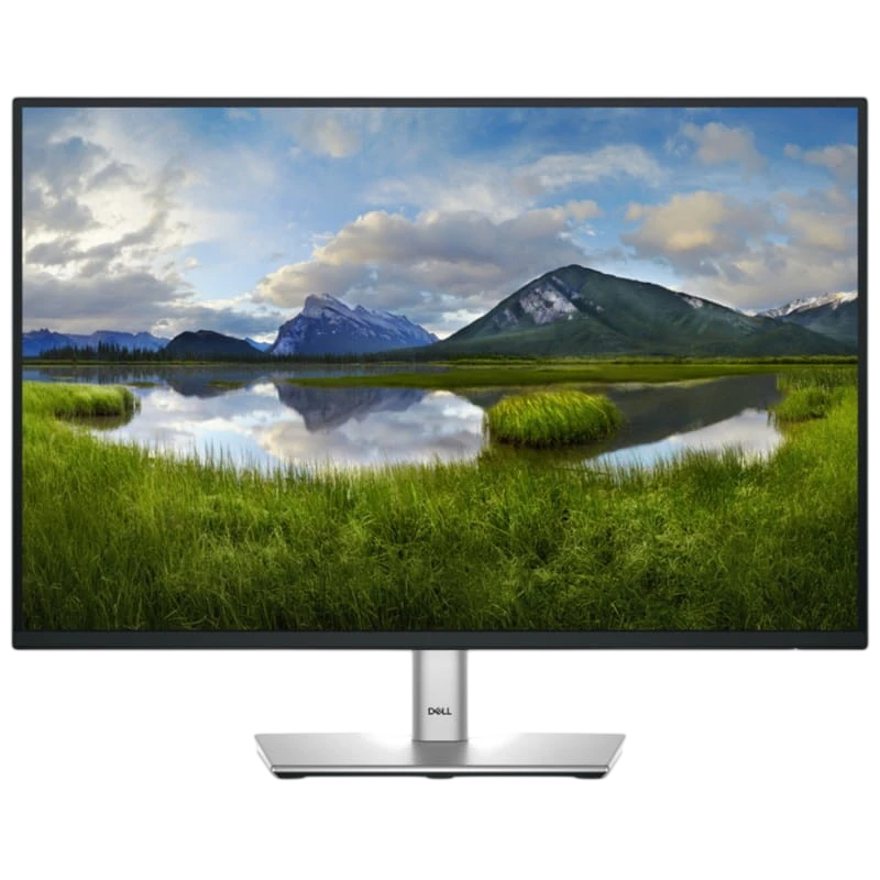 DELL P Series P2425 24.1 WUXGA IPS 100 Hz Negro - Monitor PC