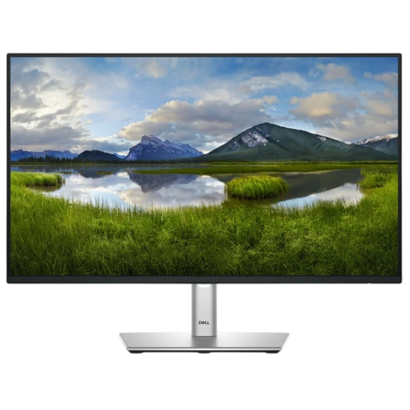 Dell P Series P2425HE 24" FullHD IPS 100Hz Negro - Monitor PC